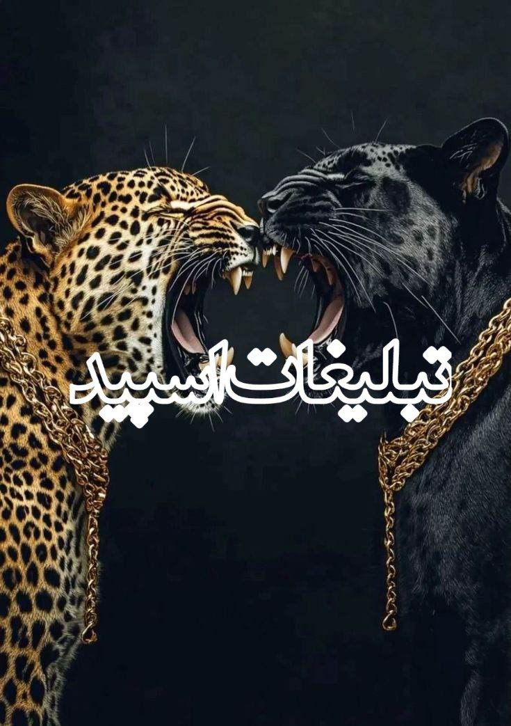 وایلد ولف (121)