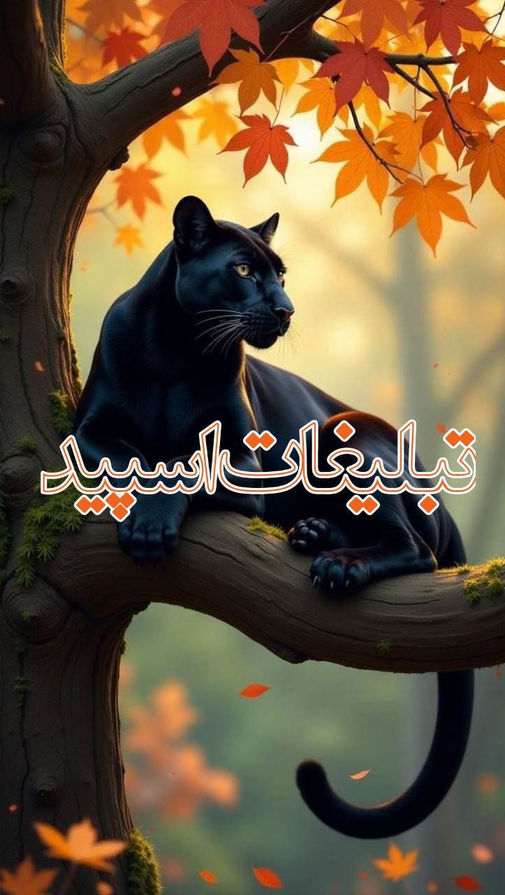 سرزمین اریایی (2)
