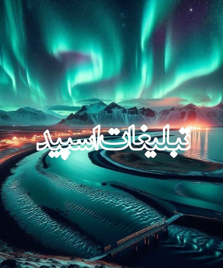 وایلد ولف (314)