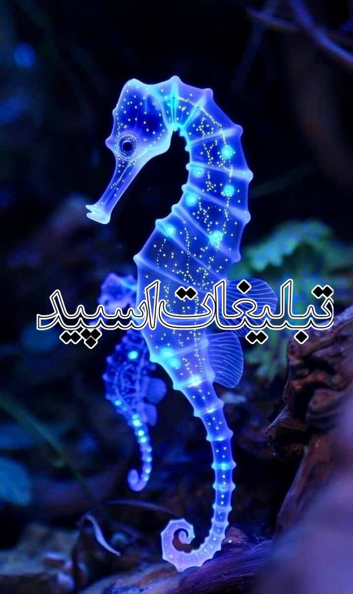محفل ارامش واصالت💓