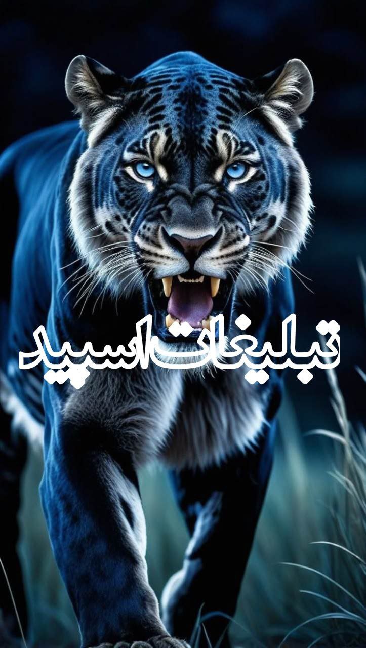 وایلد ولف|WILD WOLF (44)