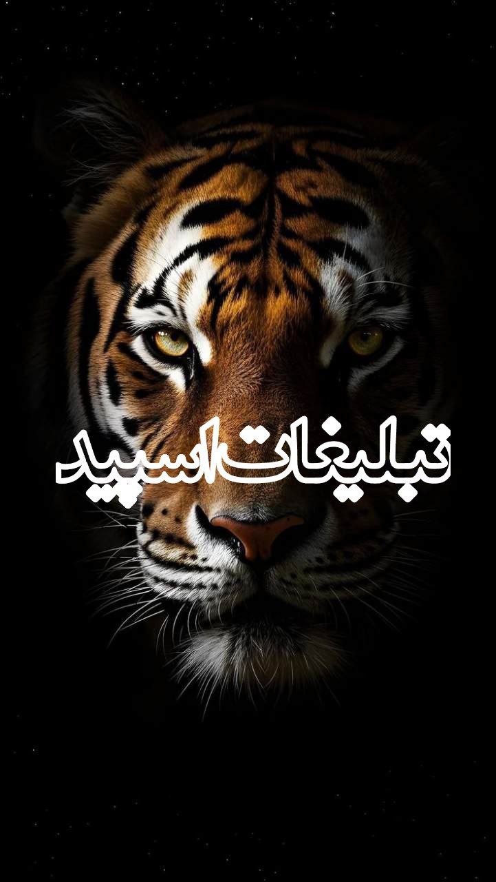 🩵 𝗥𝗼𝗶  |   خــــانــــواده 🩵 (3)