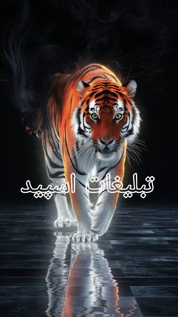 🅼🅾️🆁🅿️🅷🅸🅽🅴+25 (4)