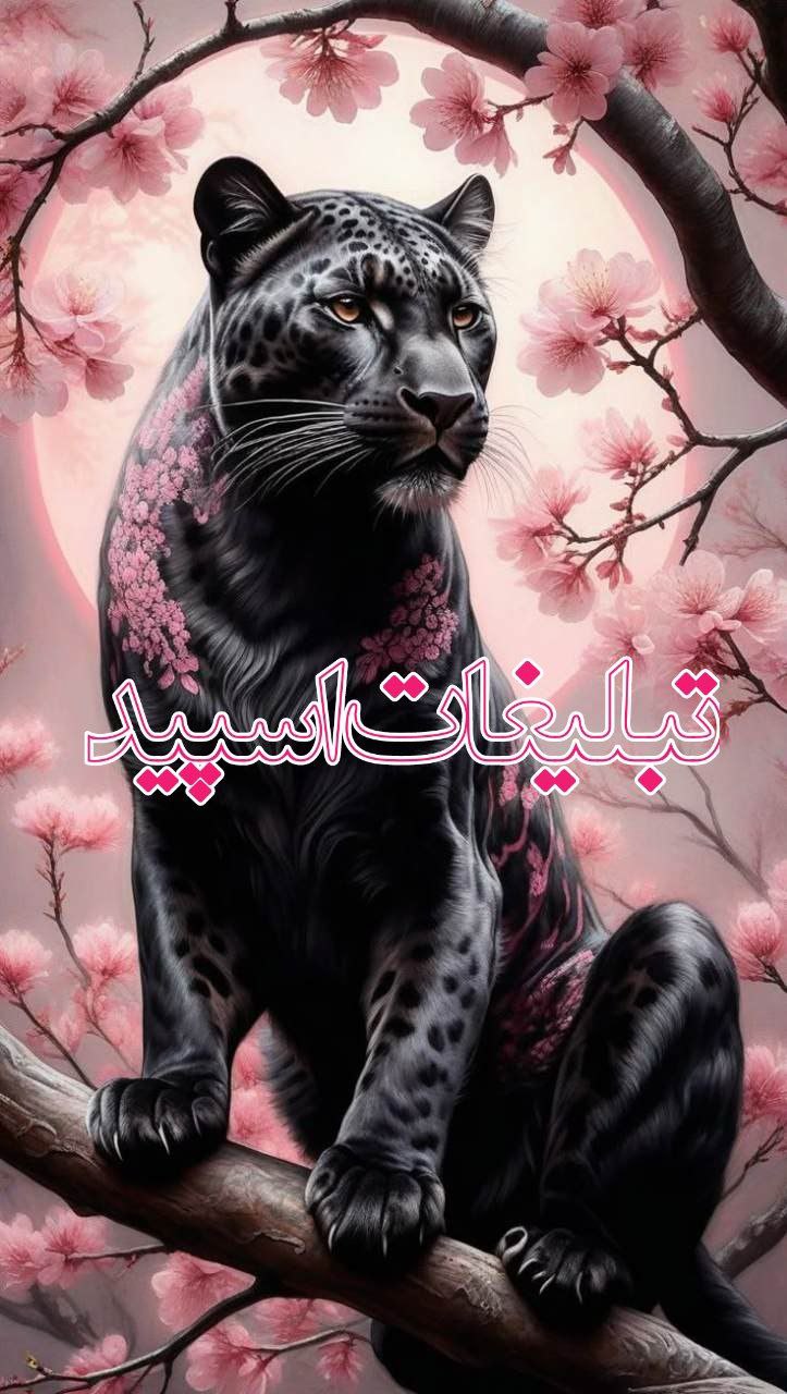 کافه دل نشین کیانا