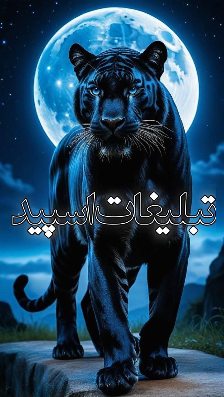 تبلیغات