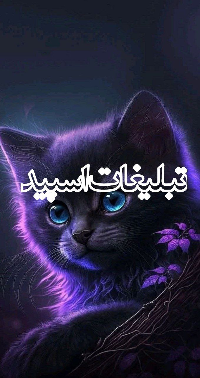 تبلیغات