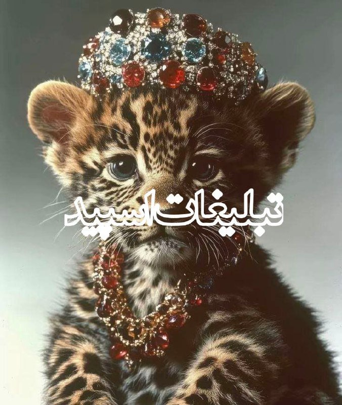 گپ دوستانه 🧸