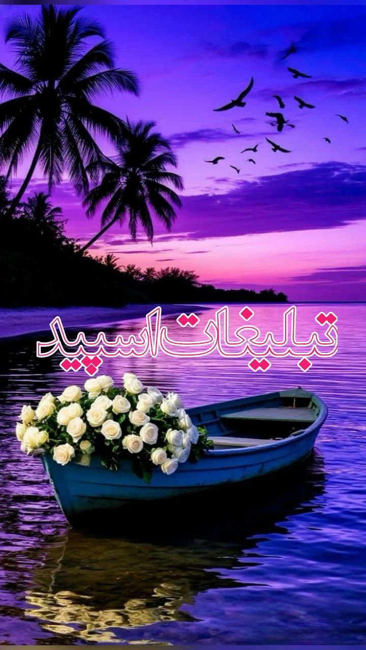 👑 𓆩⟡‏𝐎𝐮𝐭𝐥𝐚𝐰𝐬⟡𓆪👑