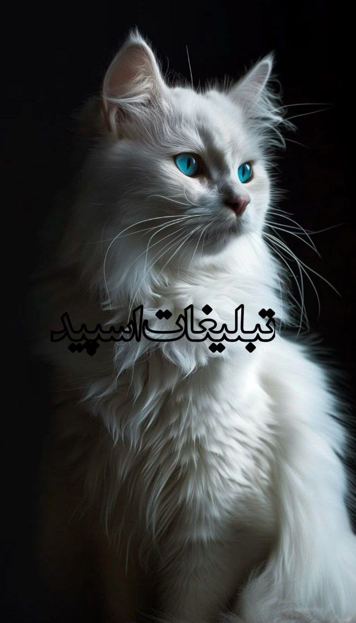 ❤️کلبه دوستی ❤️ (6)