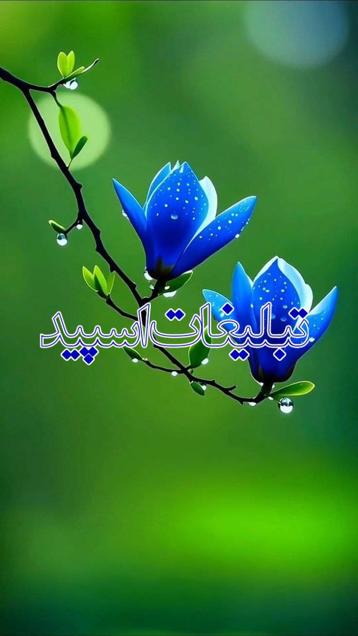 ♥️پاتوق خوبان ♥️