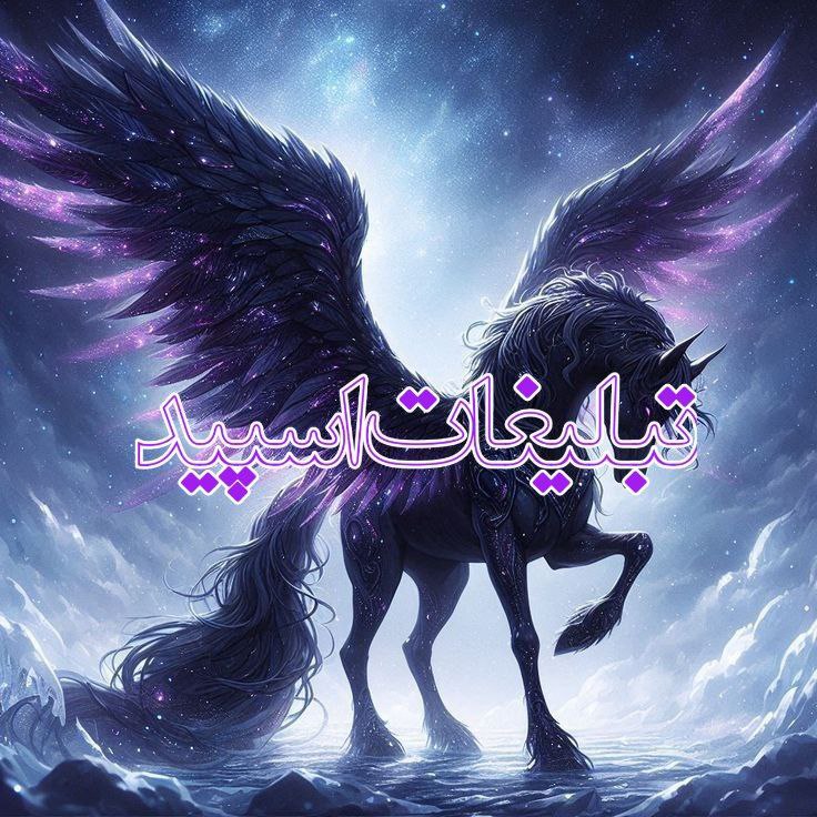 🦋✧꯭⊰❴ ܥ‌‌𐬐ࡄ‍ࡅߺ߳‍ߊ‌‌ࡍ߭ ܭ‍ܩ‍ࡅ࡙ߺ‍ߊ‌‌ࡅߺ߲ࡉ ❵⊱꯭✧🦋 (10)