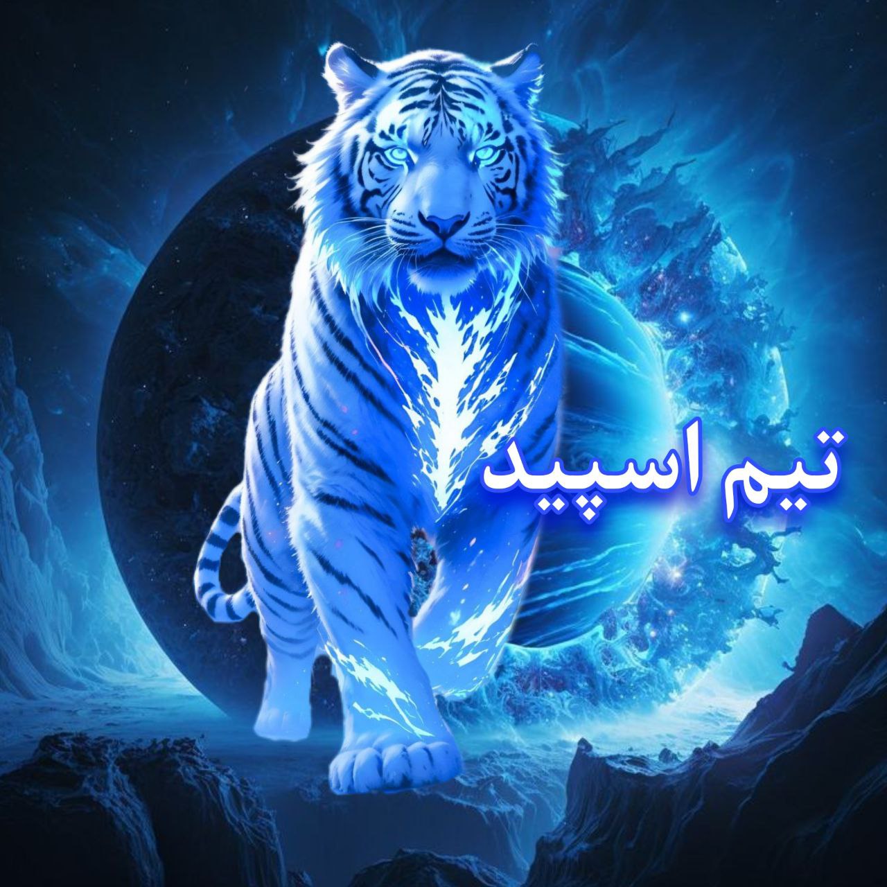 خبر فوری