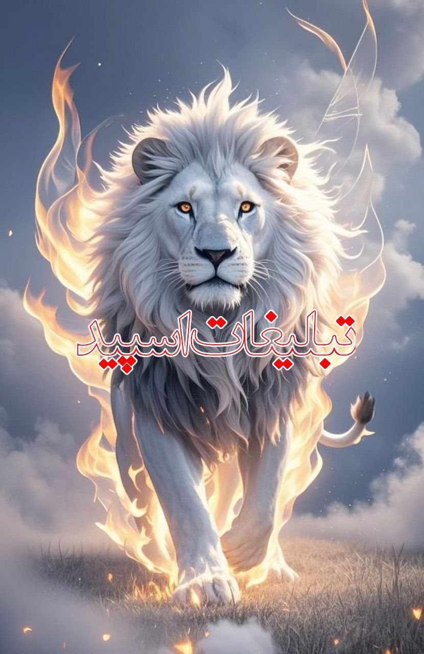 دورهمی دوستان (24)