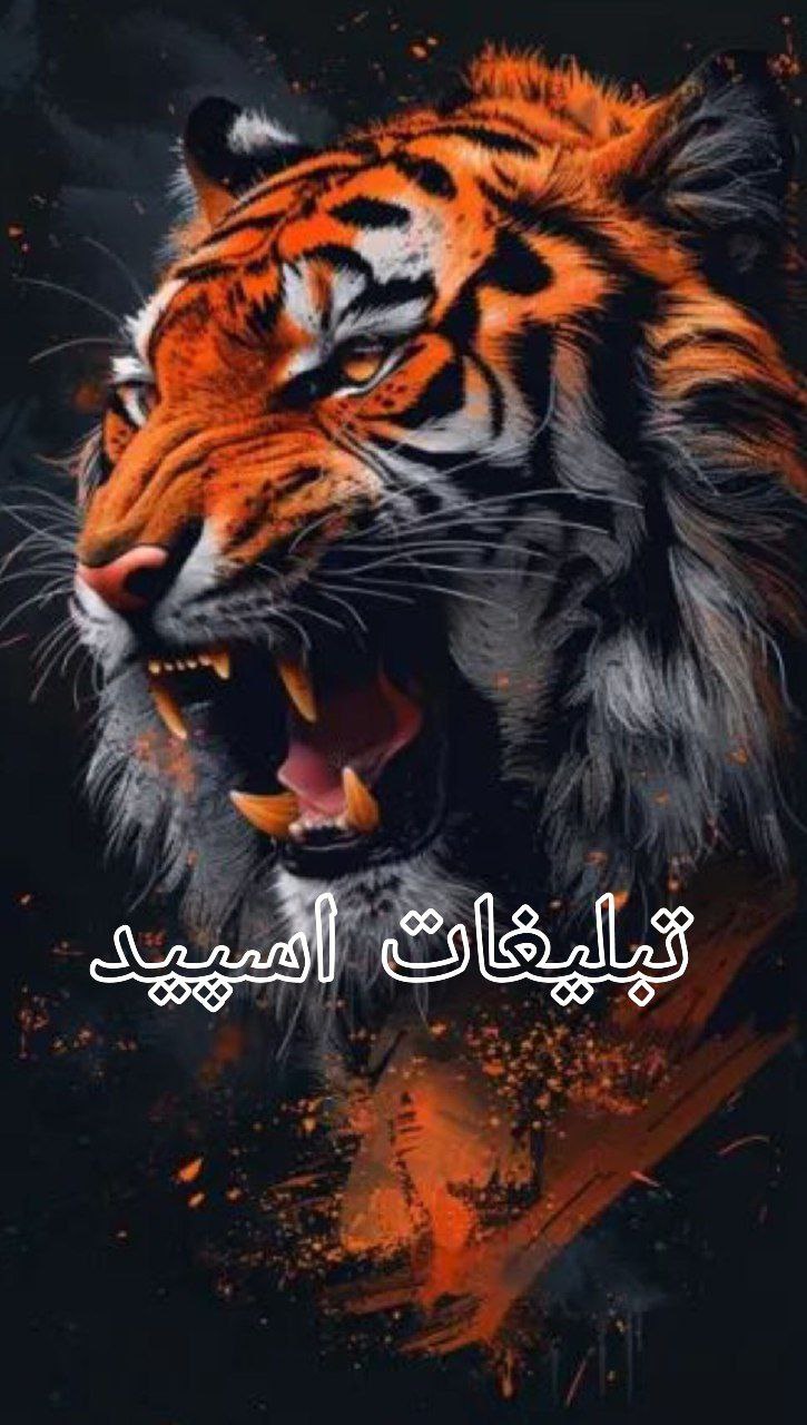 ▹͢ᵀ͢ᴴ͢ᴱ𒃽͢𝐏𝐀𝐍𝐓𝐇𝐄𝐎𝐍𒉝 (1)