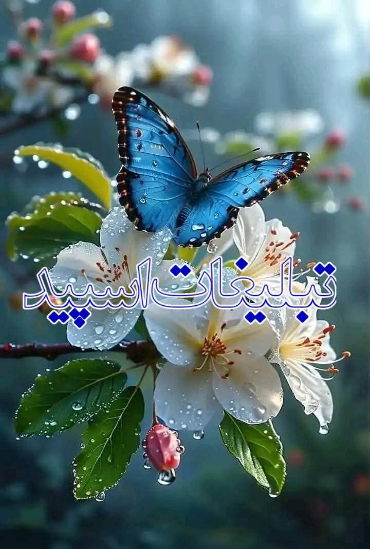 کلبه عشق ❤️ (3)