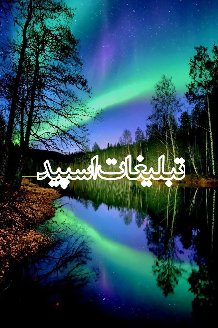 Cute land (119)