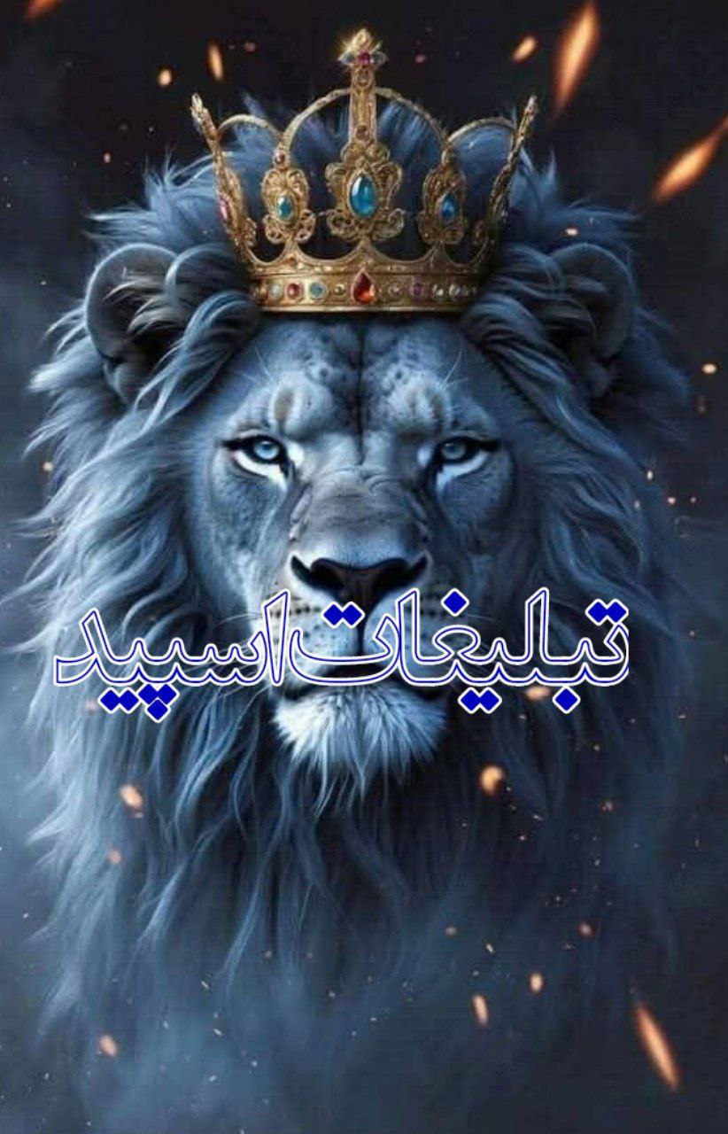✨دیارعاشقی✨ (5)