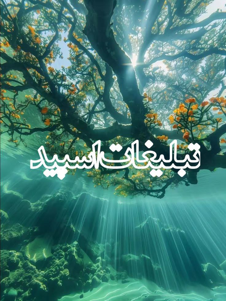 ⎯꯭᪵̽𝆺꯭𝅥𝐖𝐈𝐋𝐃𓆩᪵🜲꯭𓆪̥𝐖𝐎𝐋𝐅⎯꯭꥓᪵ͯ⟶ (57)