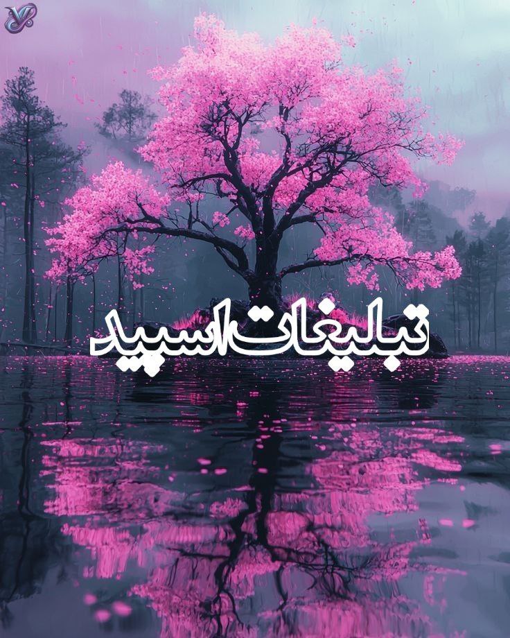 🌧Roya khis⛈️ (1)