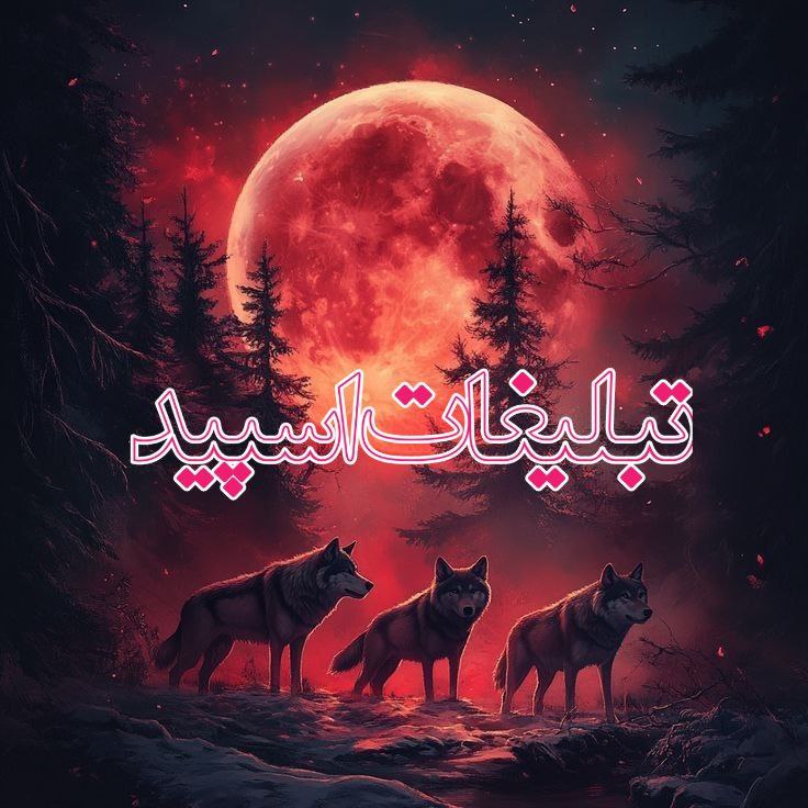 وایلد ولف (299)