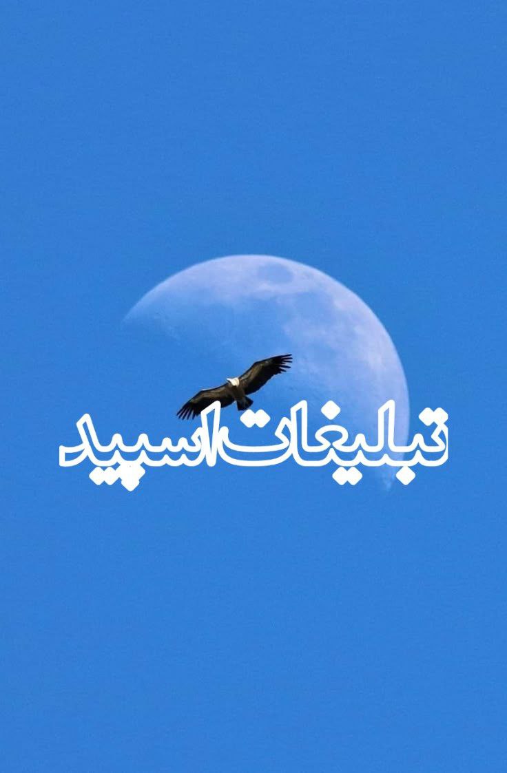 وایلد ولف😈 (1)