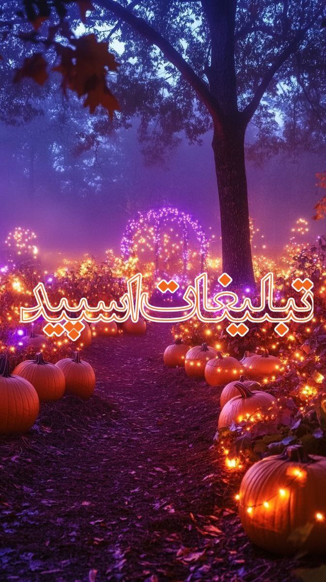 وایلد ولف (71)