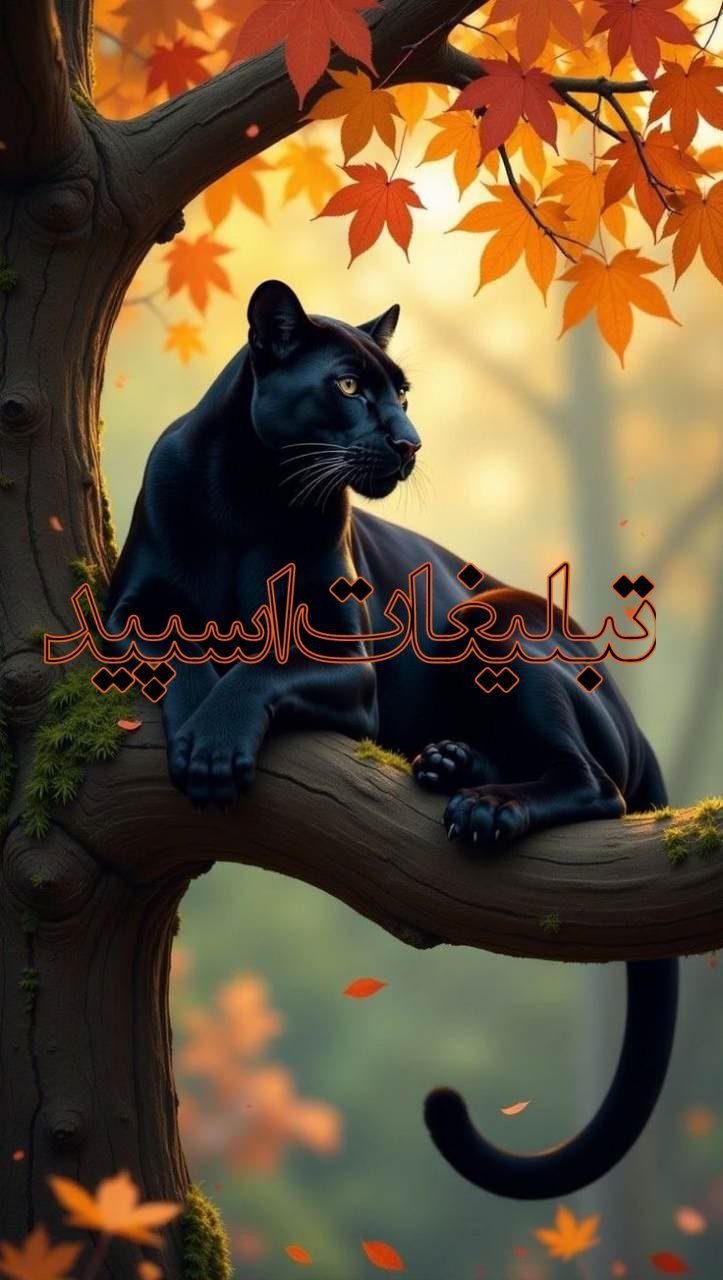♡دورهمے دوستانہ♡