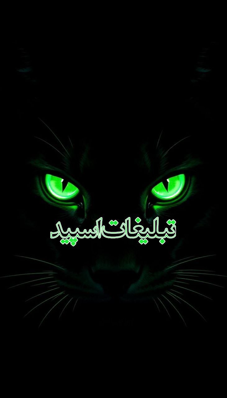 وایلدولف (22)