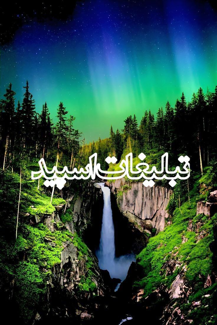 گروه دورهمی تگزاس (14)