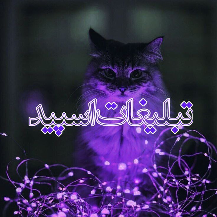𝐆𝐎𝐋𝐄𝐒𝐓𝐀𝐍 𝄟⃝Ziba🎡