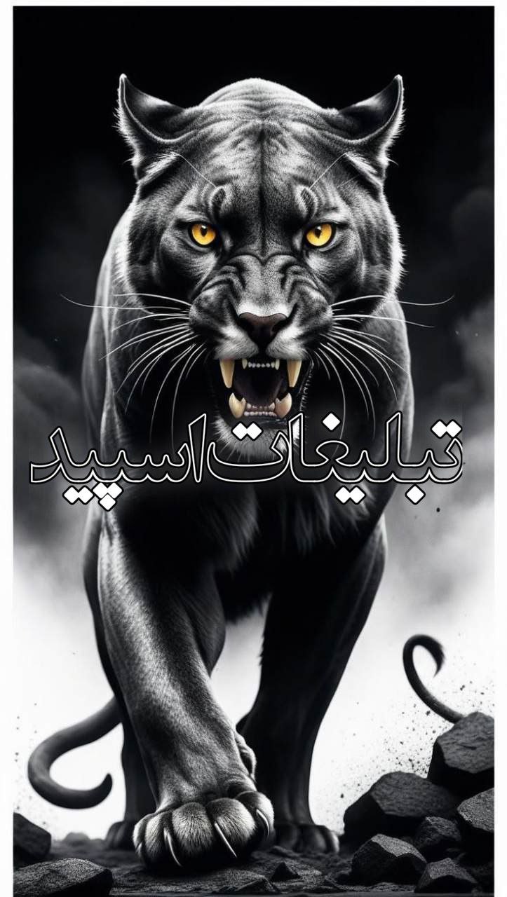 سلاطین تلگرام (3)