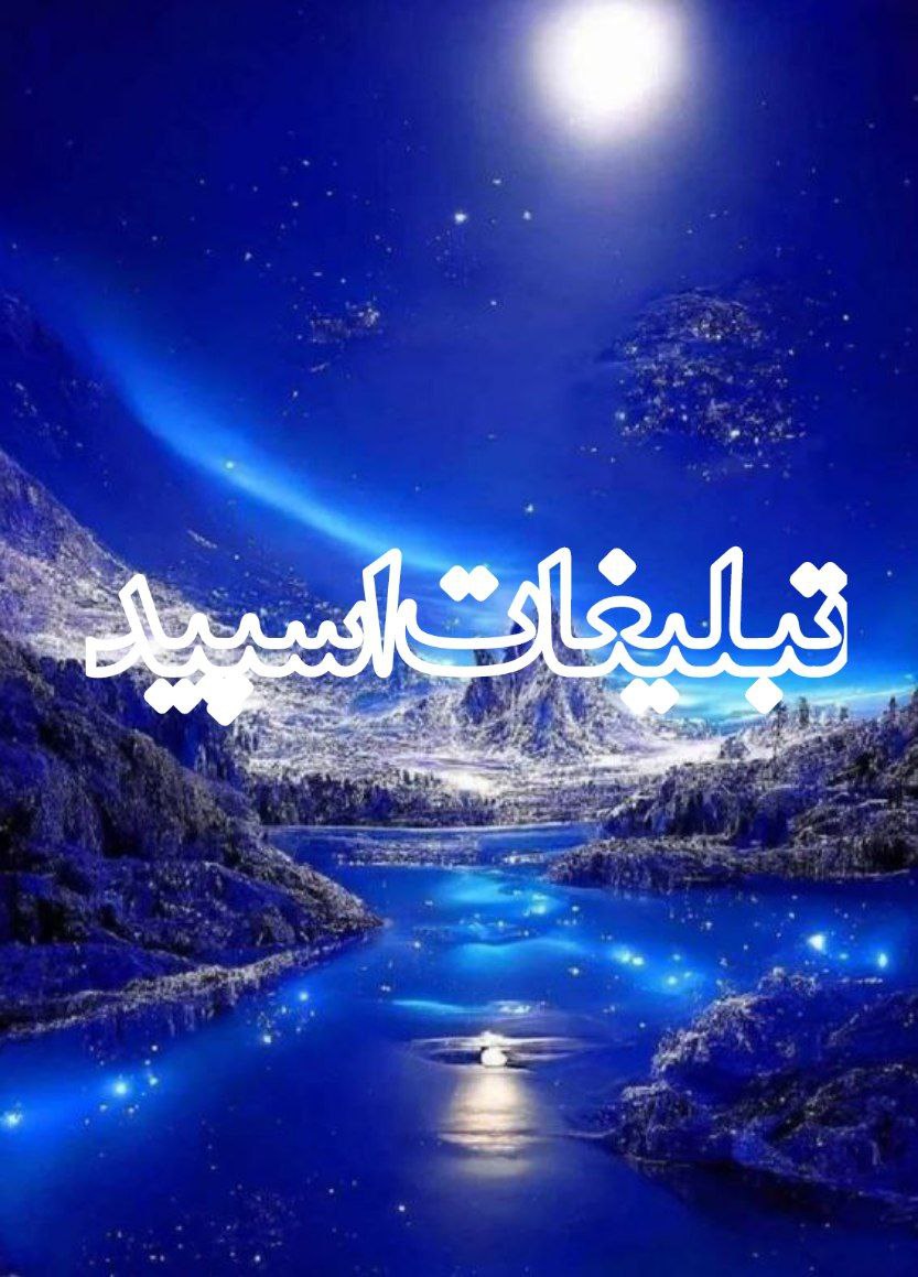 وایلد ولف (224)