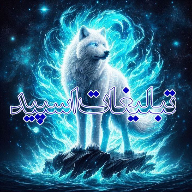 𓆩 𝑴𝑨𝑺𝑯𝑯𝑨𝑫 𝑶𝑵 𝑻𝑶𝑷 𓆪