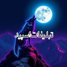 وایلد ولف (4)