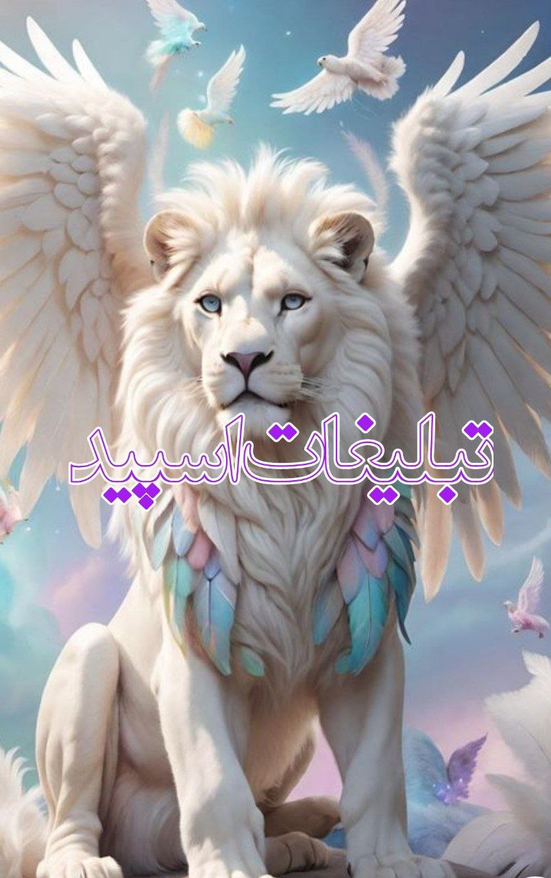 ➥ 𝘓𝘐𝘍𝘌𝘌 ➥ 💎