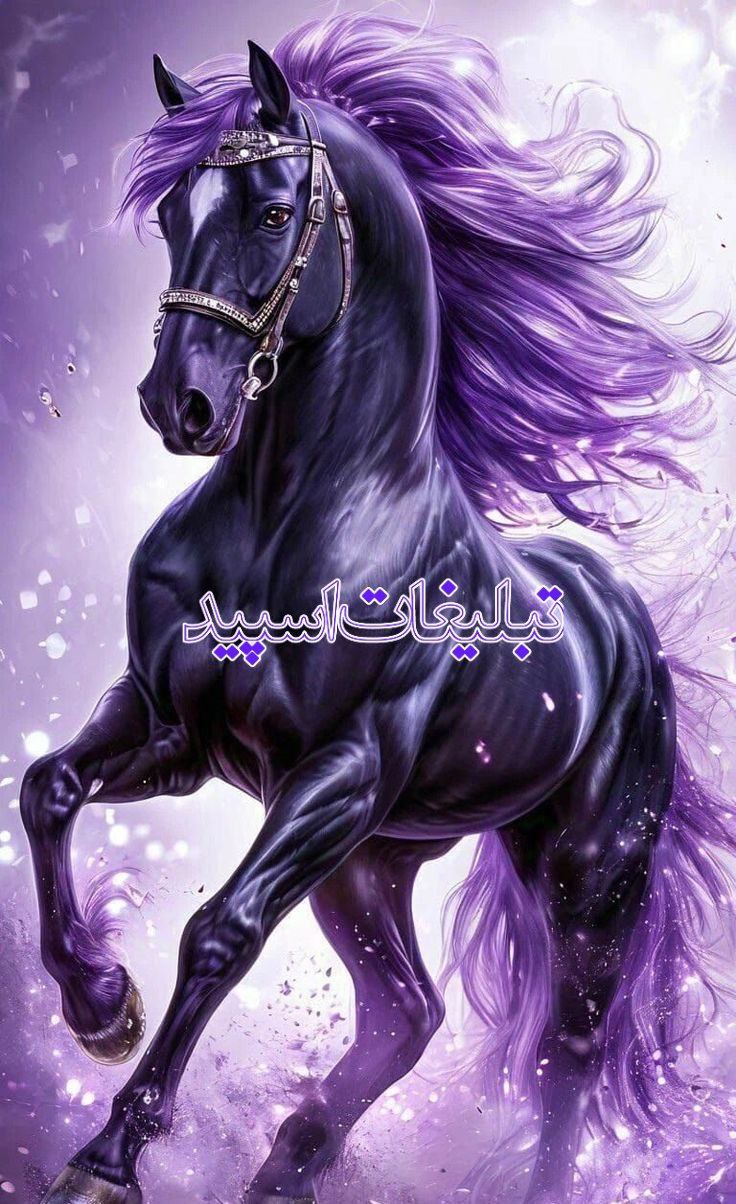 𝙆𝙊𝙇𝘽𝙀𝙃 𝙊𝙎𝙃𝘼𝙂𝙃 𝄠꯭♔꯭᭄⃮꙰҈.