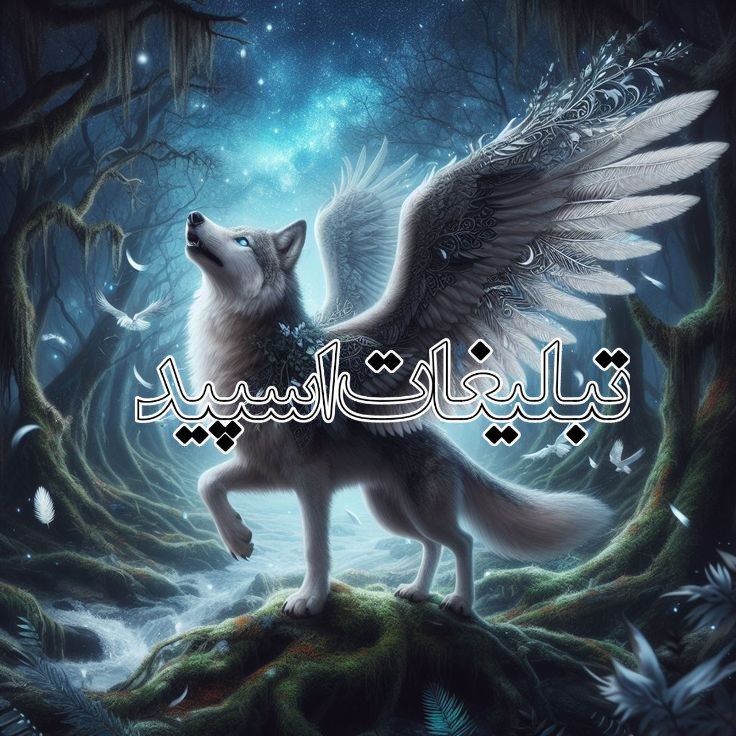 وایلد ولف (154)