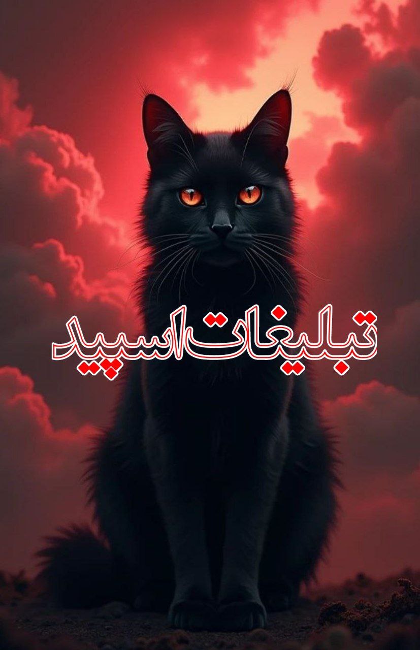 ₗₑfₜ ₜₕₑ ₑᵣₒᵣᵣ❤️