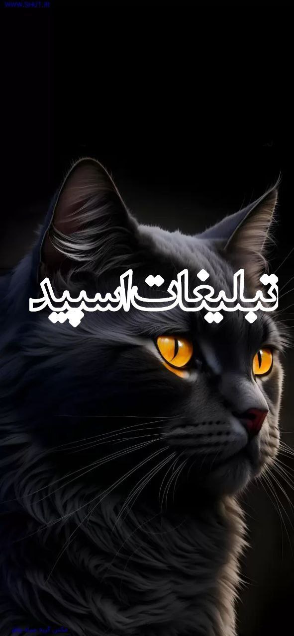 دوستان بامعرفت (10)