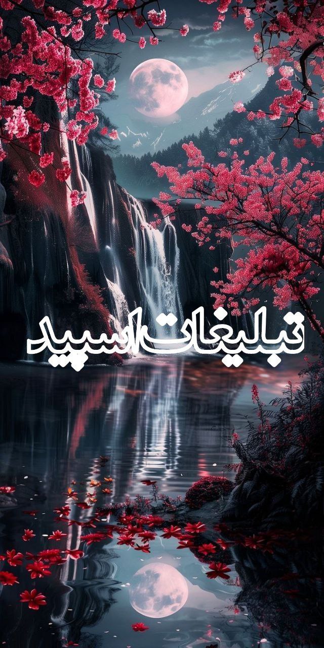 وایلد ولف (284)