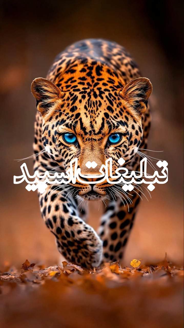 دوستان بامعرفت (30)