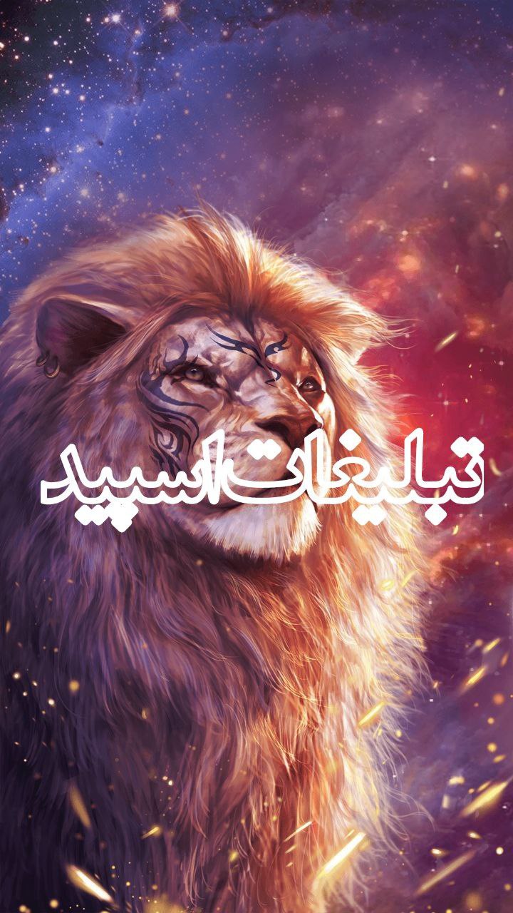 وایلدولف (10)