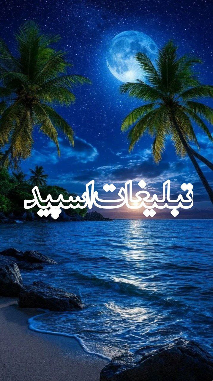 وایلد ولف (268)