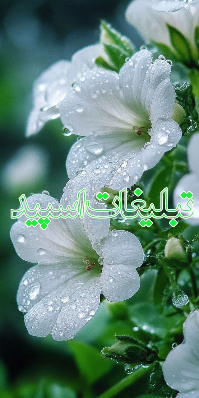 ⃟▸‌‌↳𝐋𝐈𝐅𝐄𝐄↱ᓗ