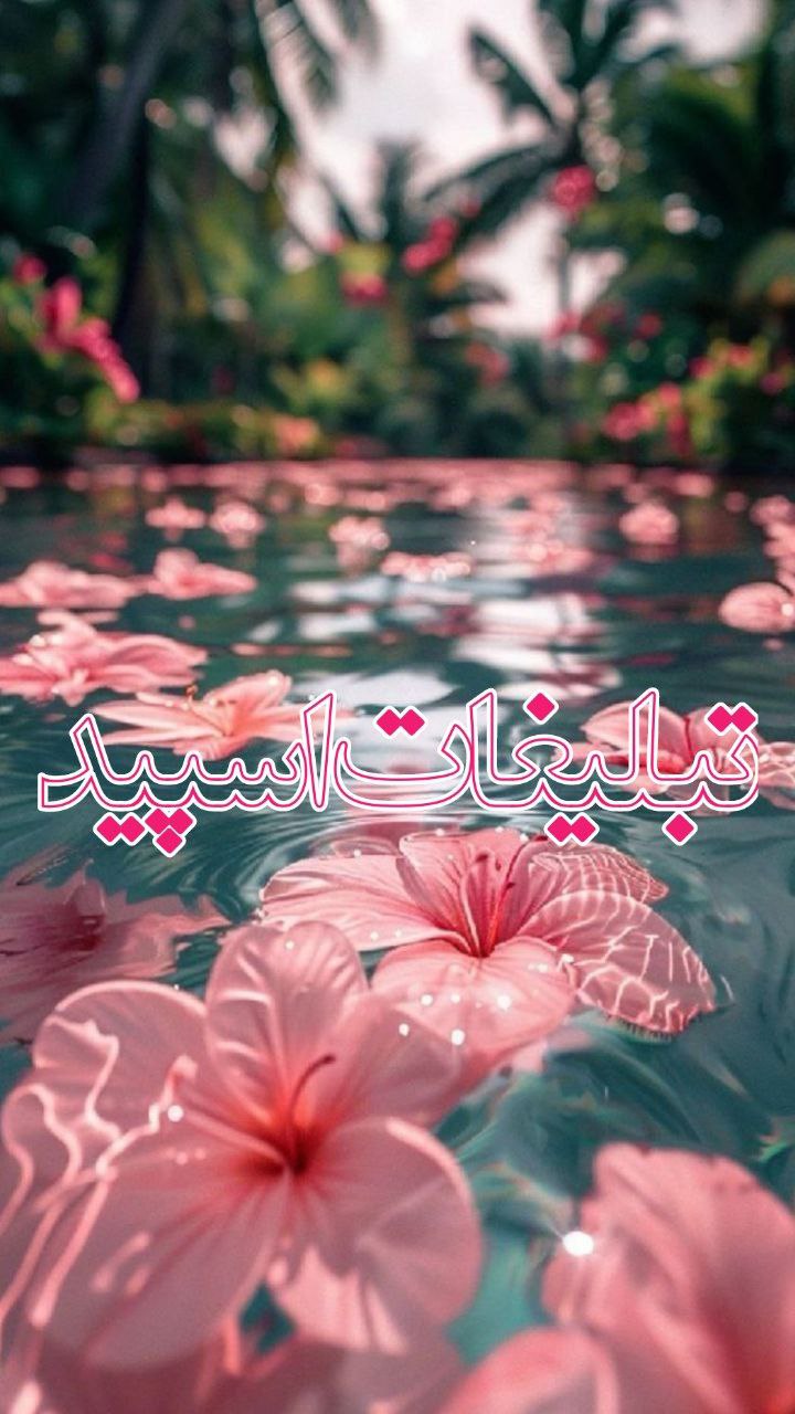 ♦️ Persian gap ♦️