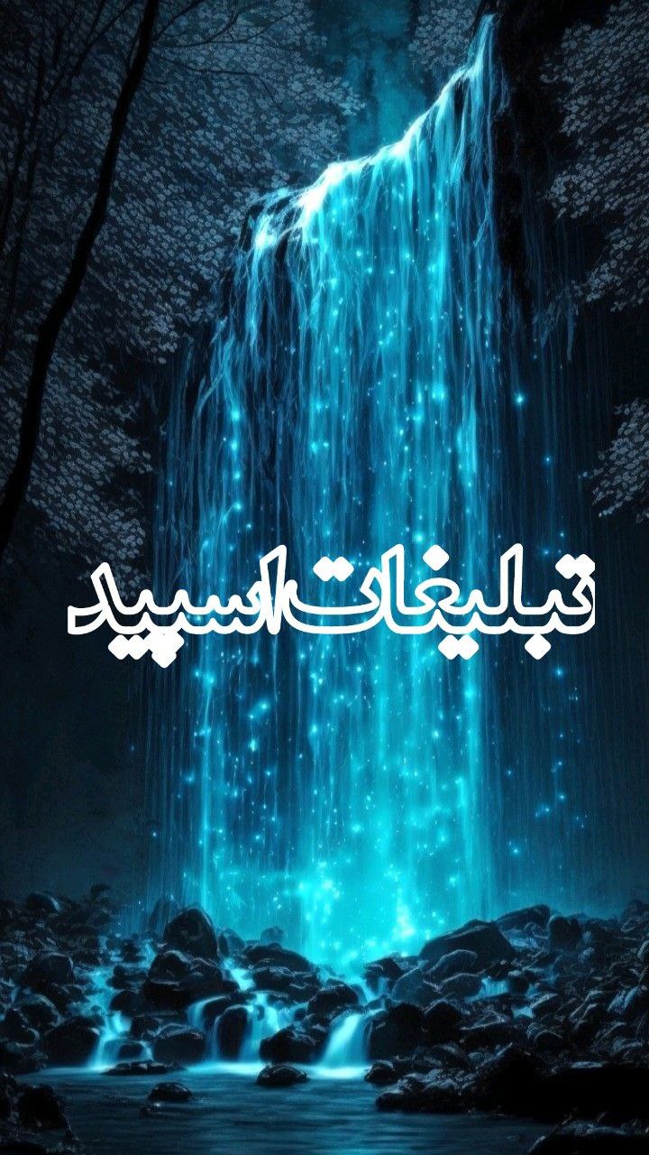 وایلد ولف (6)