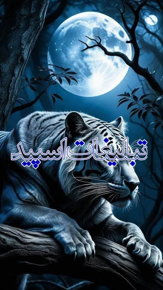 برکه دوستی (3)