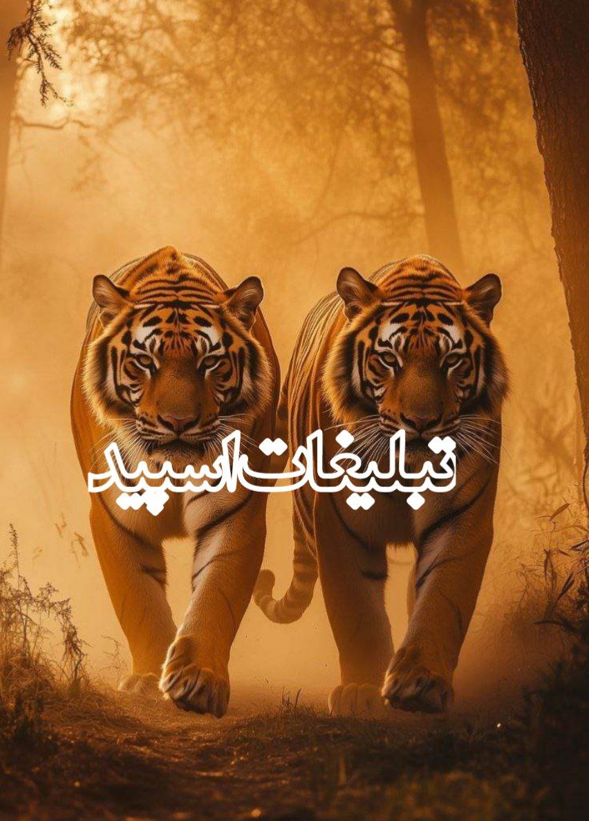 دوستان دورهمی