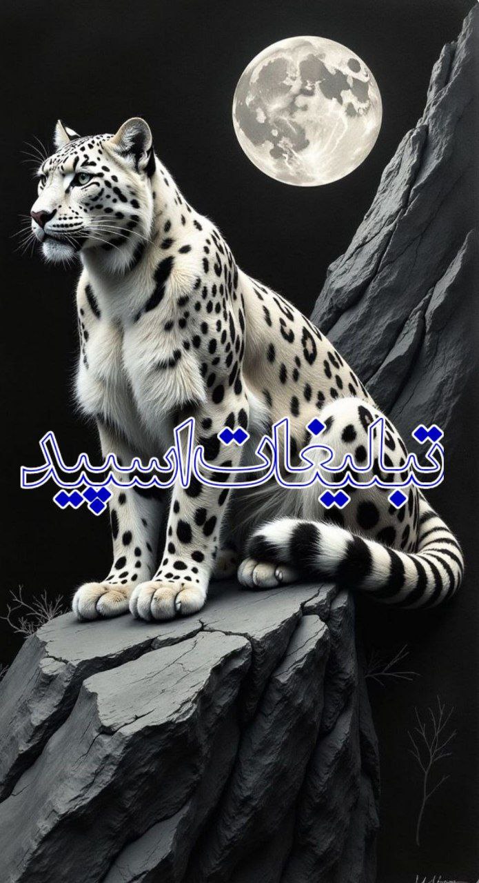 🩵 DOSTAN MANDEGAR 🩵 (9)