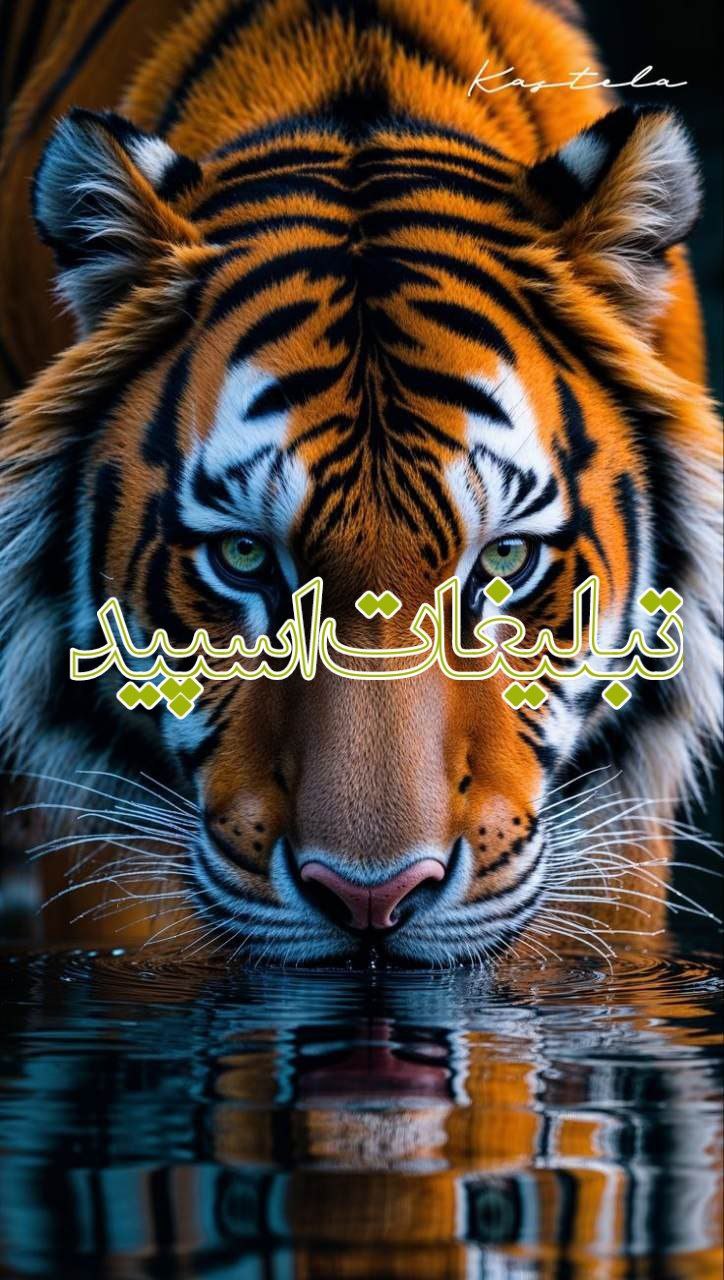 🌹KHODEMONI MAZANI🌹 (1)